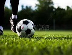 喜宝与勖存,姿情感纠葛,多度,南宫28NG娱乐,南宫28NG娱乐官网