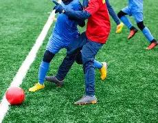 喜宝与勖存,姿情感纠葛,多度,南宫28NG娱乐,南宫28NG娱乐官网